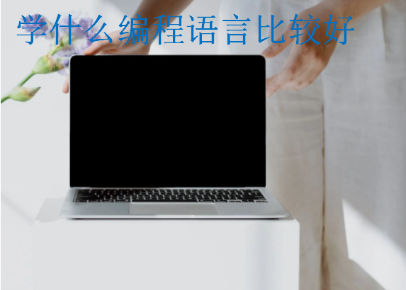 学什么编程语言比较好