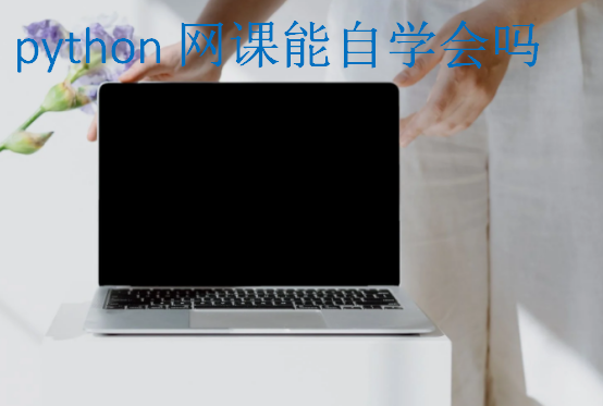 python网课能自学会吗