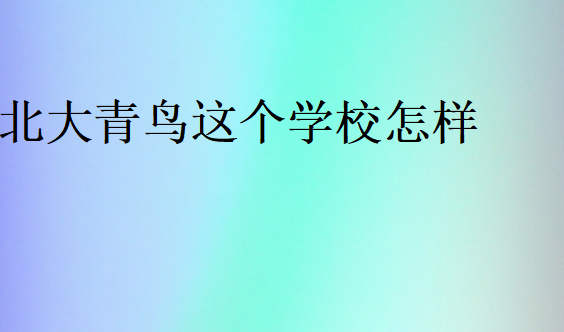 北大青鸟这个学校怎样