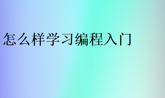 怎么样学习编程入门